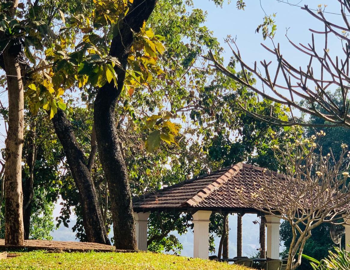 Отель The Postcard Velha, Goa Старый Гоа Экстерьер фото