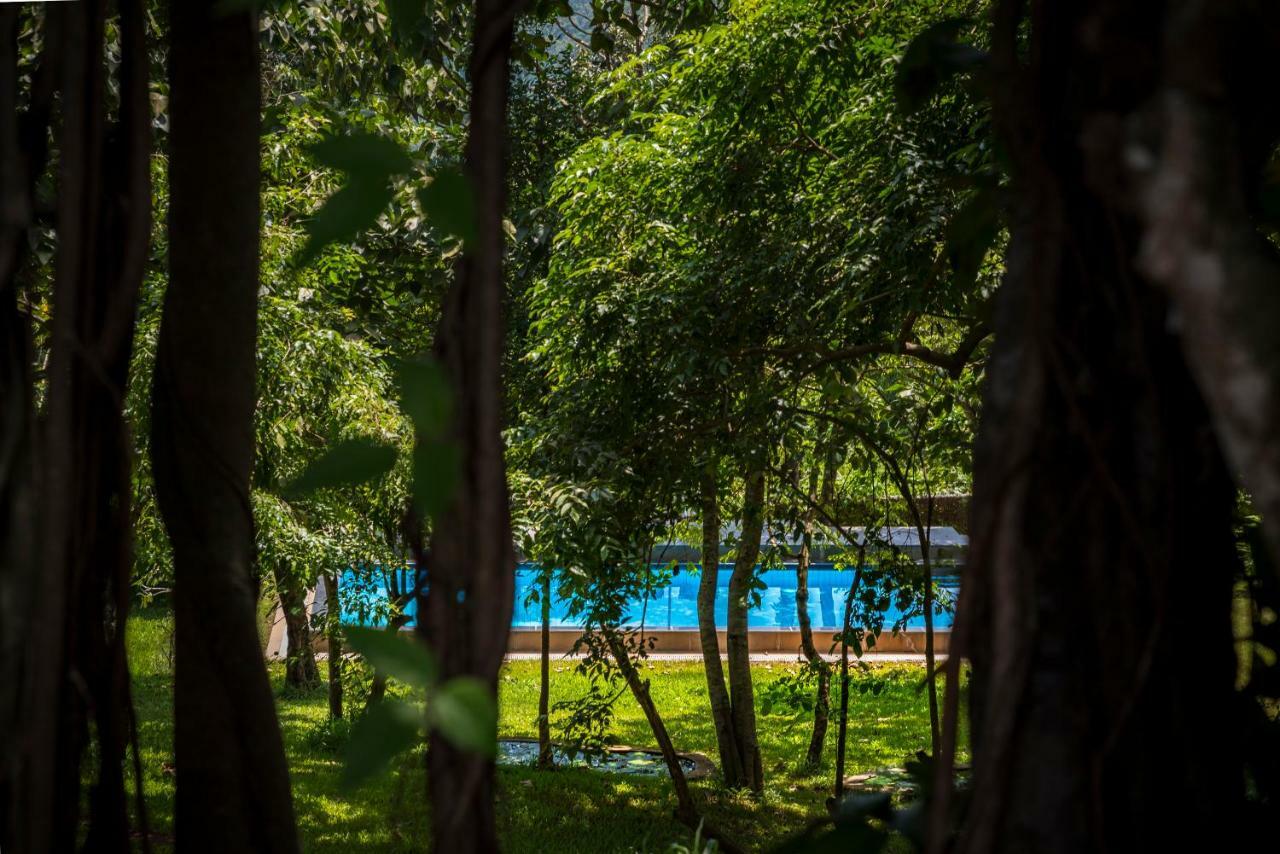 Отель The Postcard Velha, Goa Старый Гоа Экстерьер фото